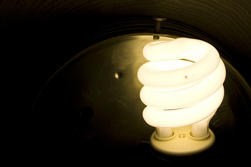 Recycle Your Old Fluorescent Light Bulbs, Can You Put Led Bulbs In Old Fluorescent Fixtures